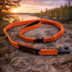 Heavy Duty Quick-Release Bungee Leash (Absorbs Pulls)