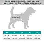 NeoAlly Upgraded Dog Surgical Recovery Vest for Dogs and Cats