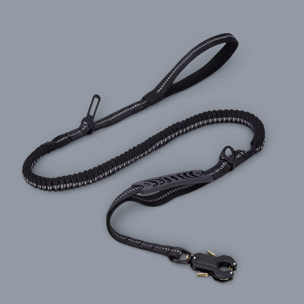 Heavy Duty Quick-Release Bungee Leash (Absorbs Pulls)